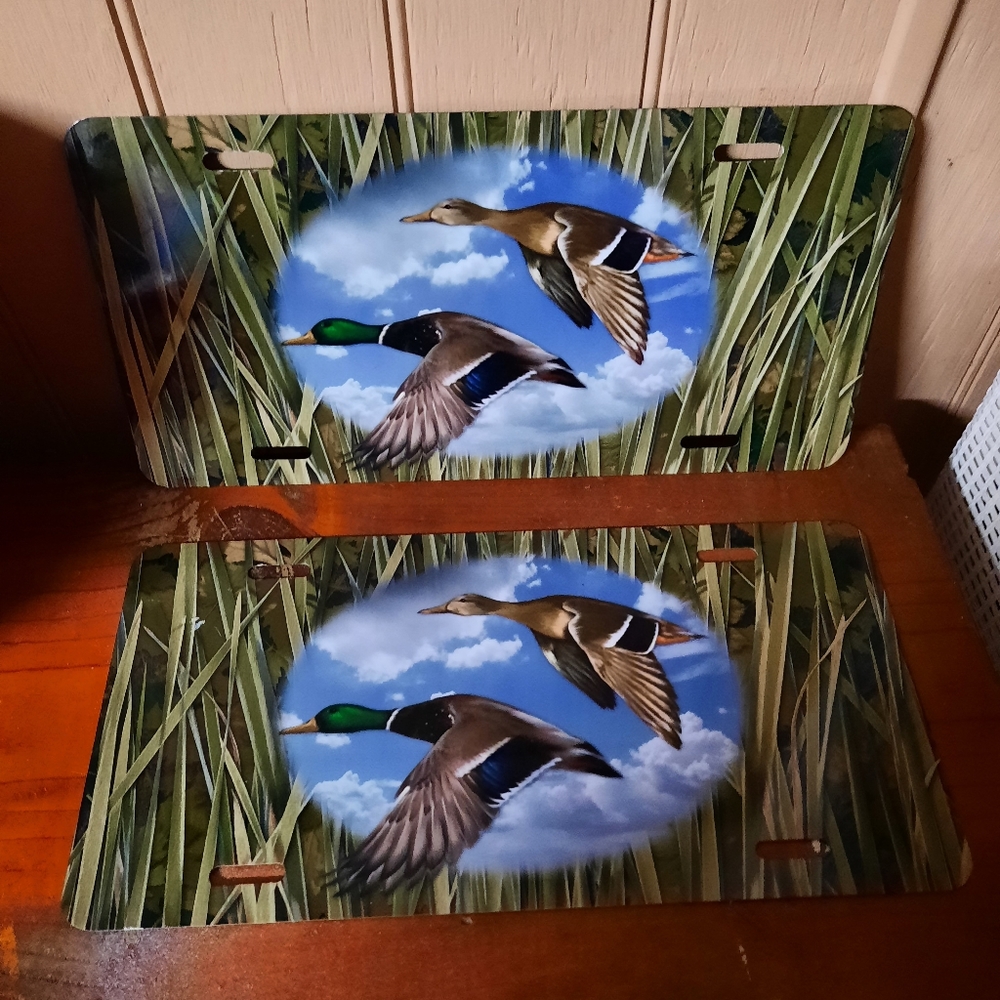 2 metal duck plates